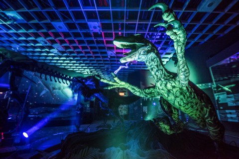 Nachts im Museum - Dinovergnügen