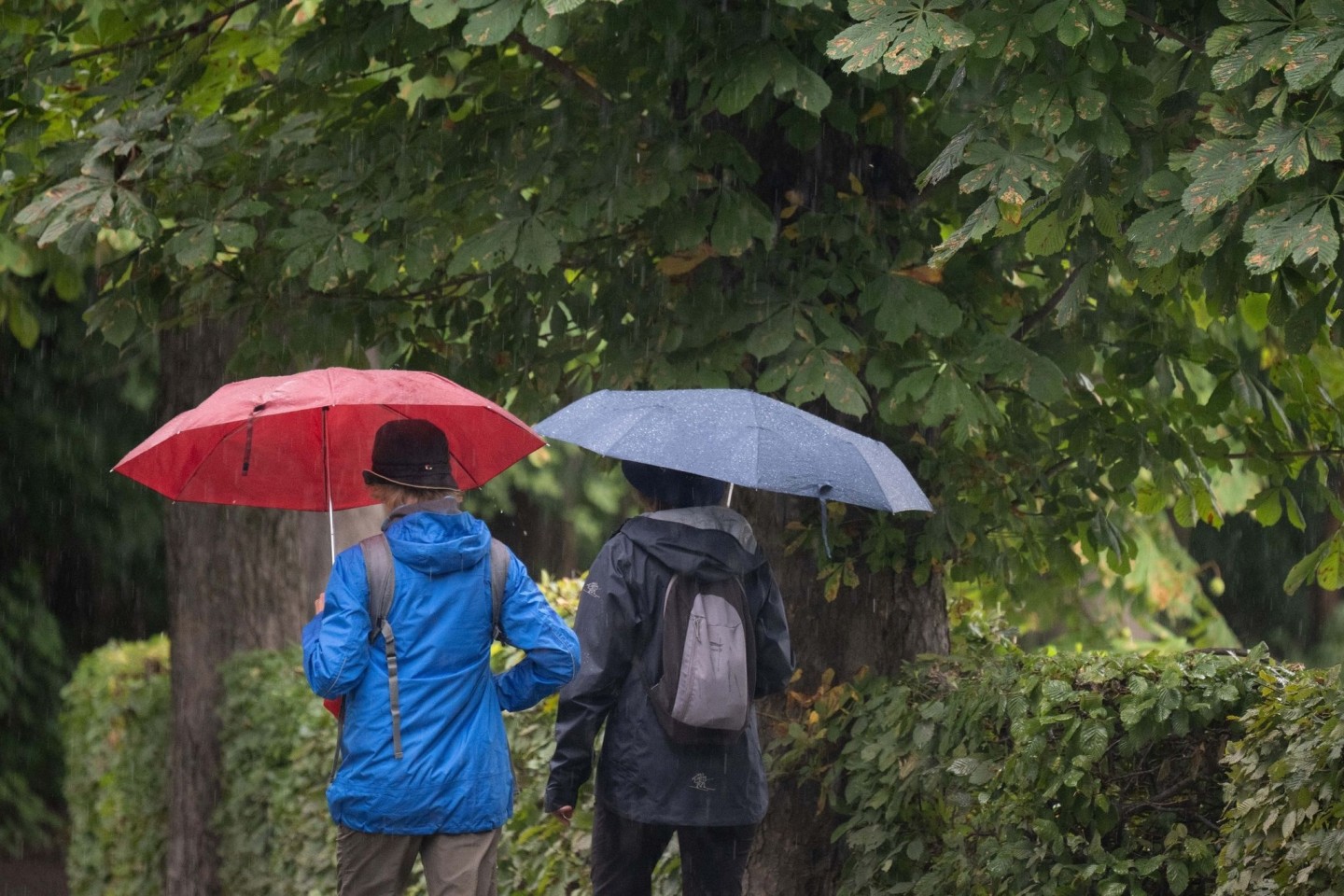 Passanten mit Regenschirmen in Moritzburg in Sachsen.