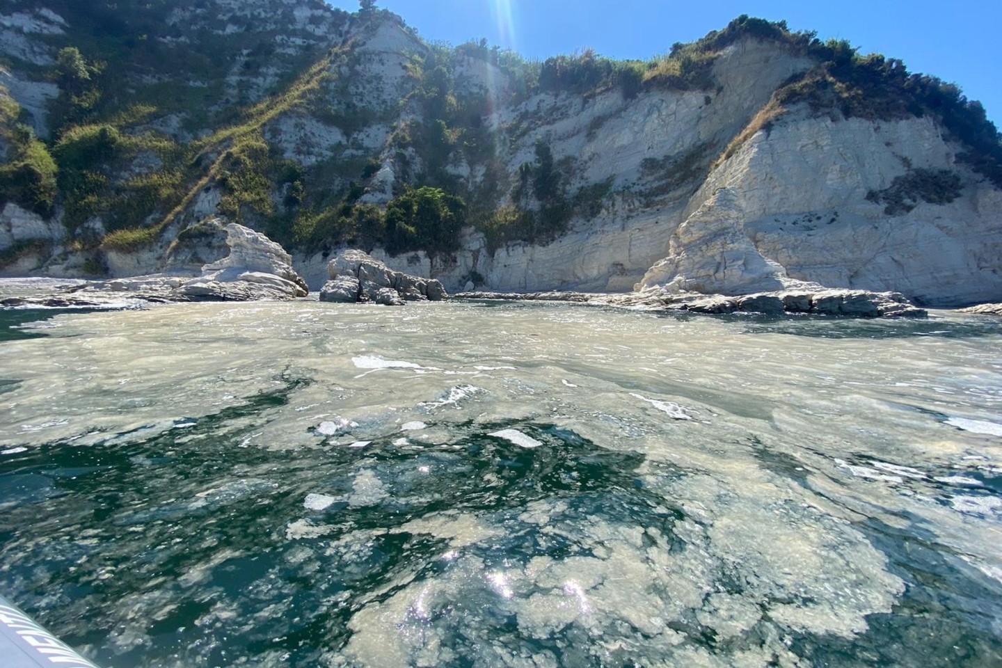 Das Phänomen Algenschleim ist schon lange bekannt. Vermutlich begünstigen heiße Sommer ein verstärktes Algenwachstum in der Adria.