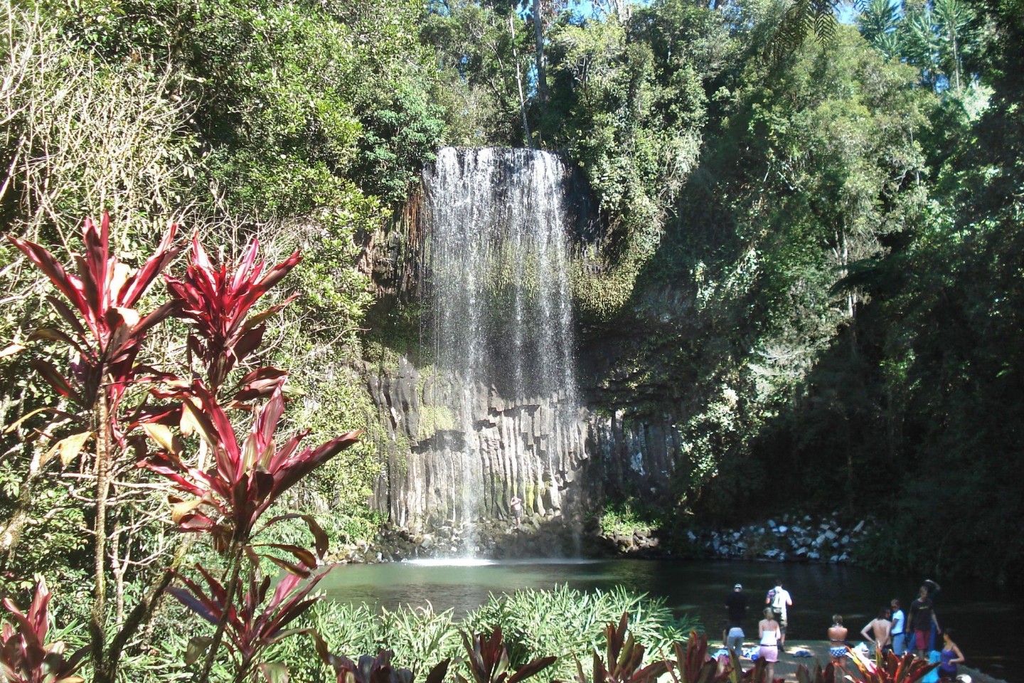 Die Millaa Millaa Falls gelten als einer der schönsten Wasserfälle in Down Under. (Archivbild)