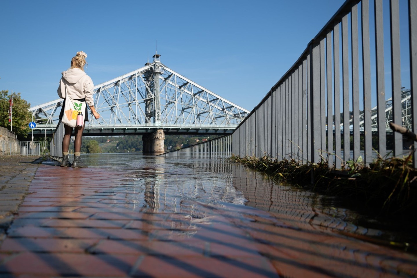 Die Elbe in Sachsen führt seit Wochenbeginn kein Hochwasser mehr. (Archivbild)