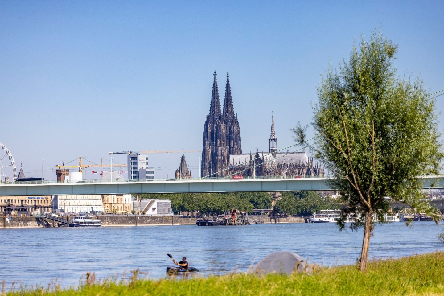 Ein Kajakfahrer rudert auf dem Rhein, im Hintergrund ist der Kölner Dom und die Severinbrücke zu sehen.