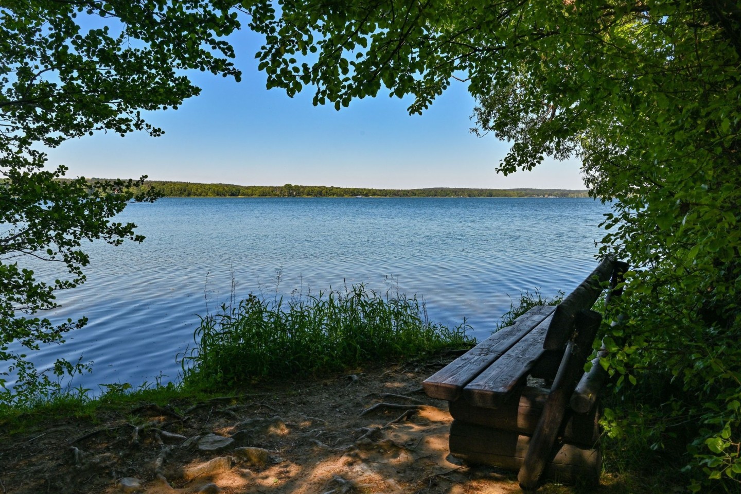 Blick vom Ostufer über den Scharmützelsee in Brandenburg.