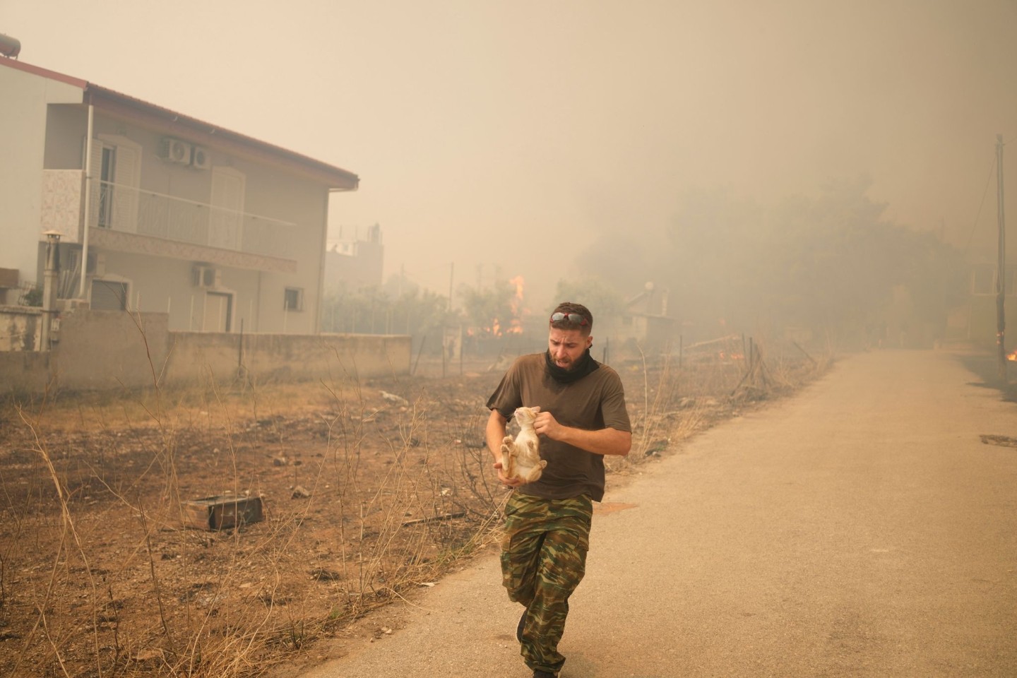 Ein junger Mann rettet eine kleine Katze vor den Flammen.