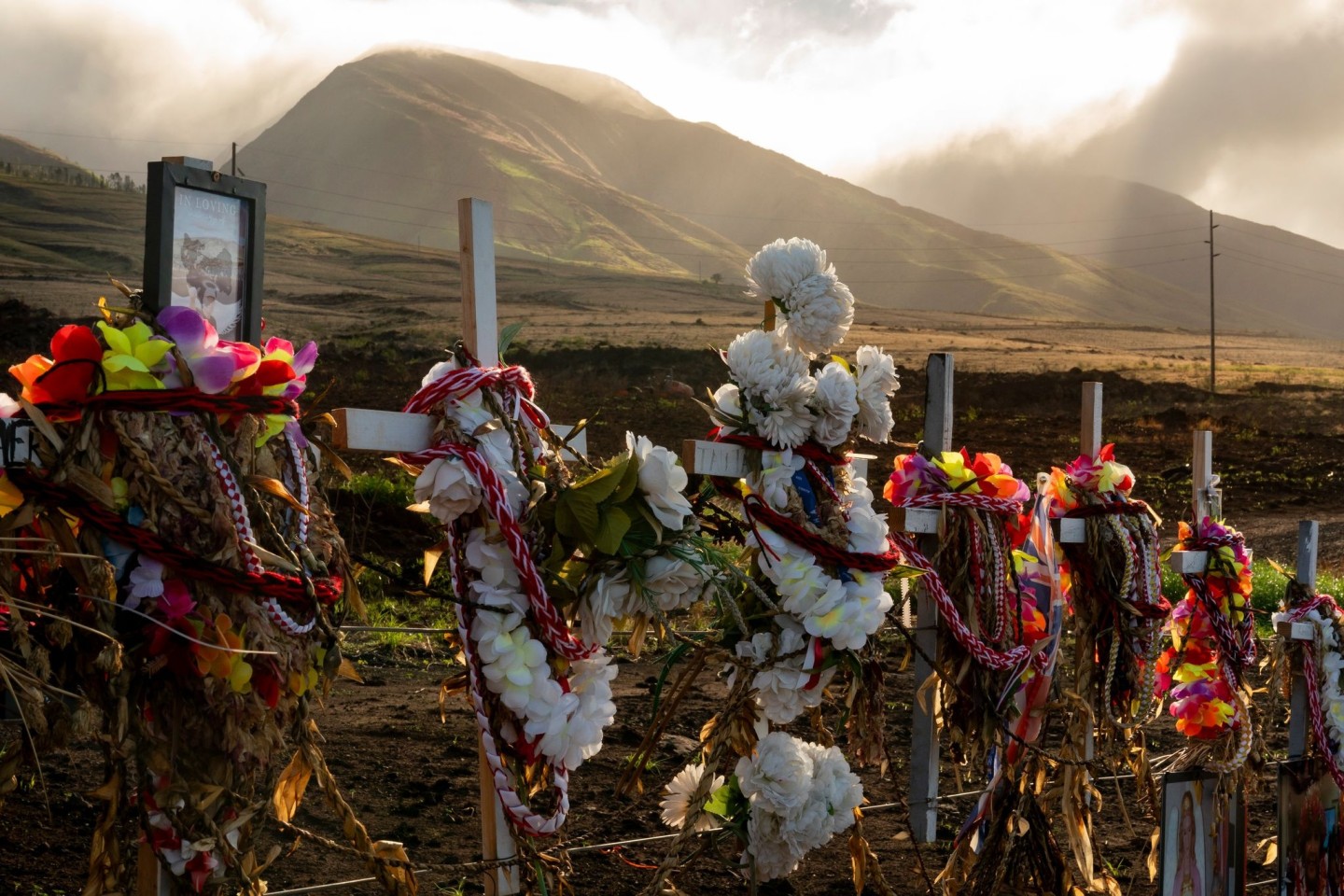  102 Menschen wurden Opfer der Brände auf Maui. (Archivbild)