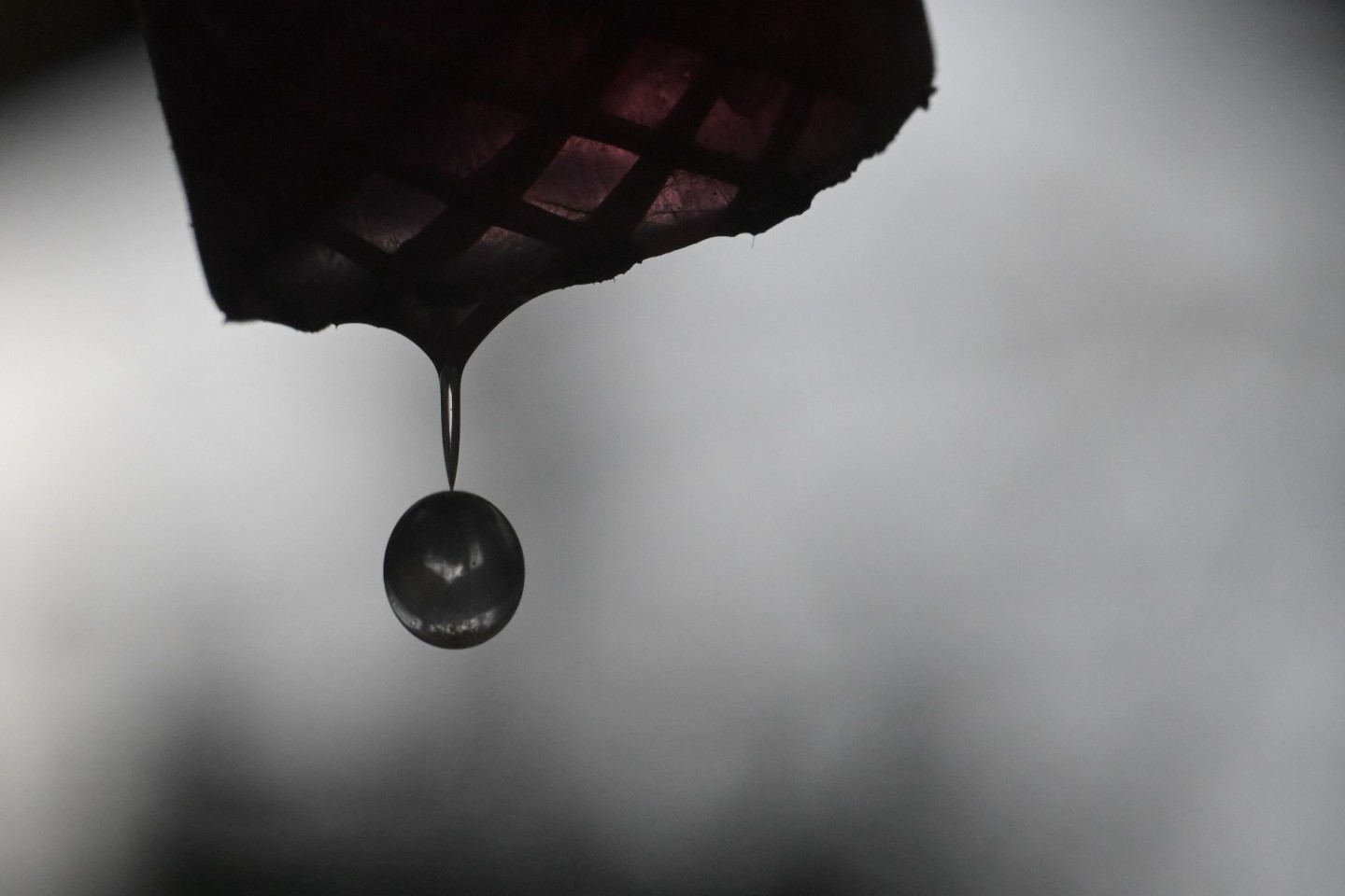 Die Temperatur des Grundwassers spielt eine entscheidende Rolle für die Wasserqualität.