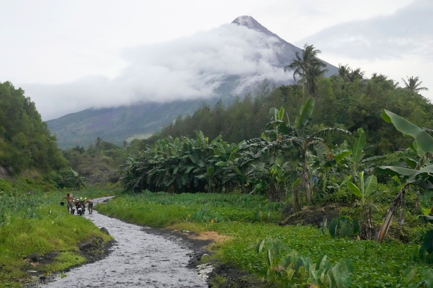 Der Vulkan Mayon im Nordosten der Philippinen bedroht regelmäßig Menschen in der Gegend. Sie müssen jetzt ihre Häuser verlassen.