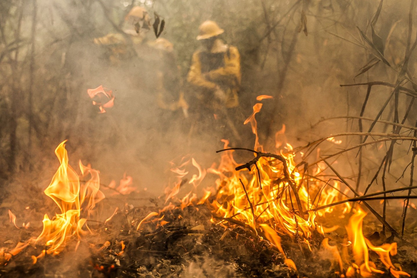 Feuerwehreinheiten bekämpfen die schlimmen Waldbrände im Pantanal.