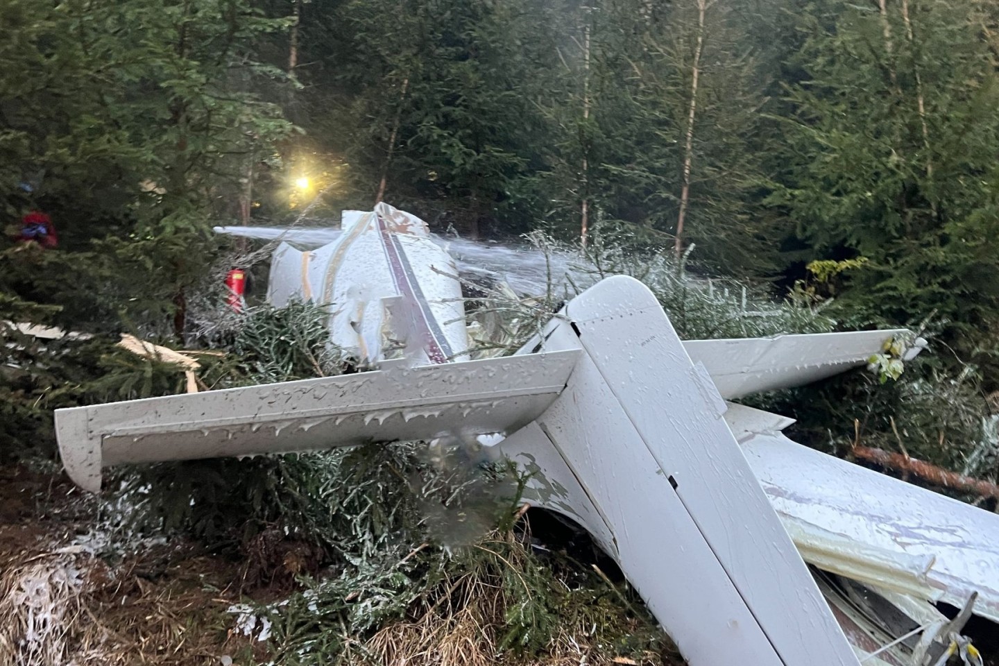 Alle vier Insassen sind beim Absturz eines Sportflugzeuges in Österreich ums Leben gekommen.