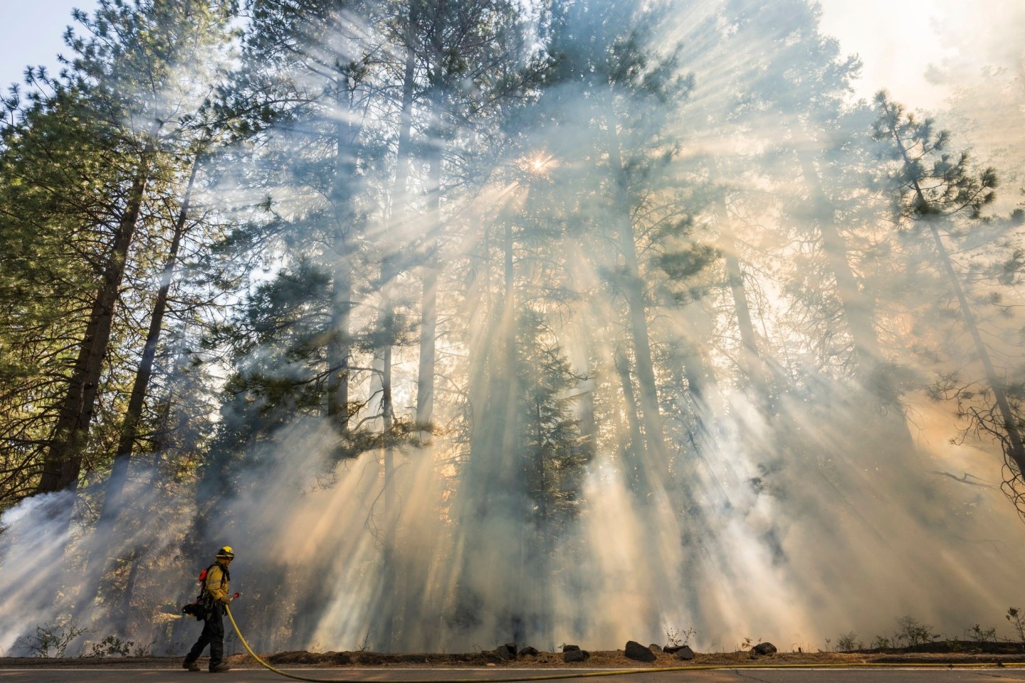 Das Park Fire hat sich zum sechstgrößten Waldbrand in der Geschichte Kaliforniens ausgewachsen.