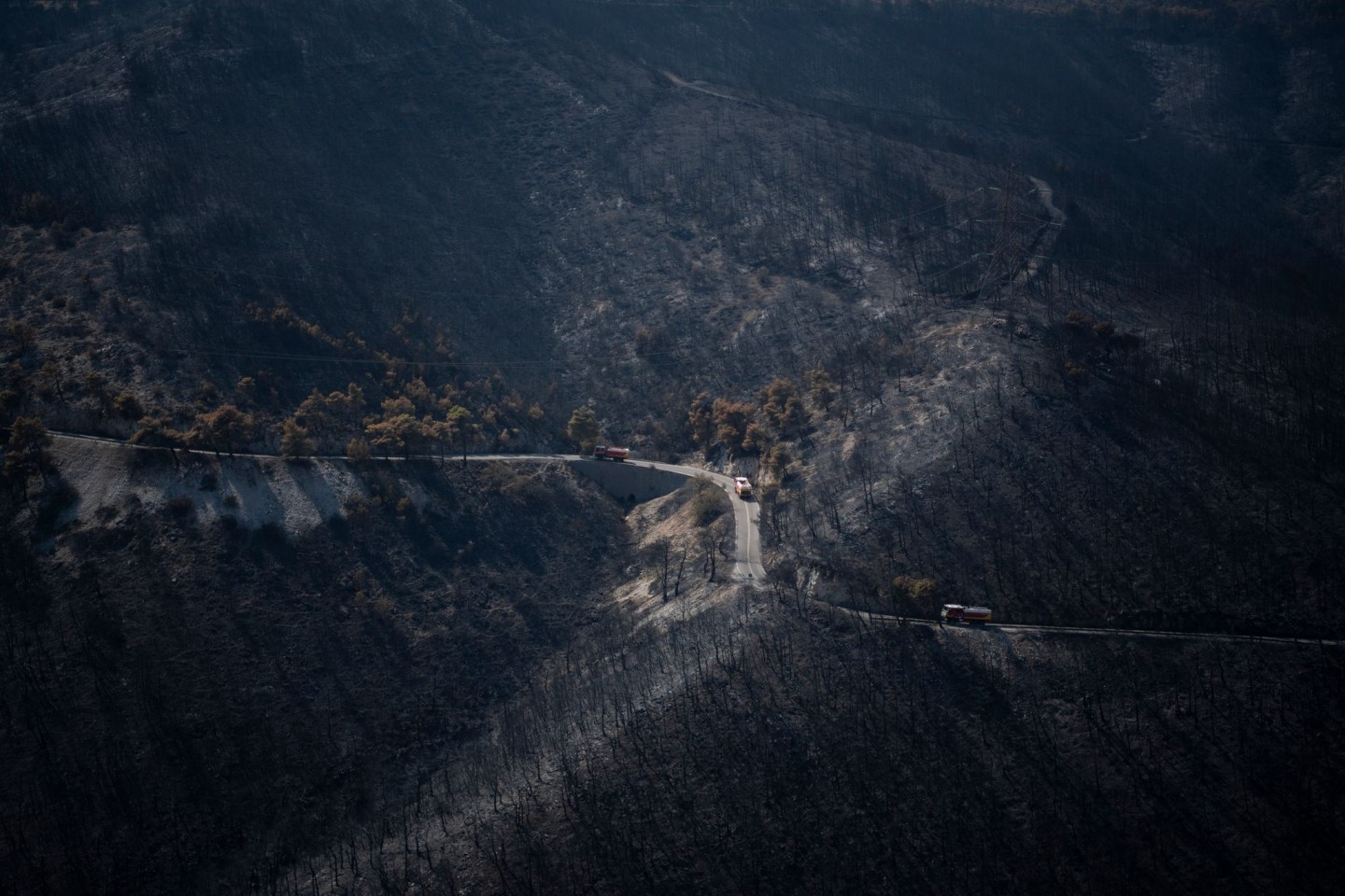 Das Feuer hinterlässt einen verbrannten Wald.