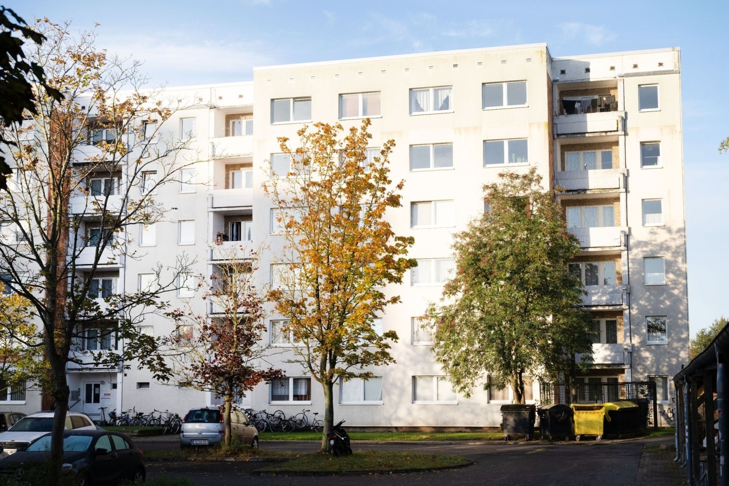 In einer Plattenbausiedlung in Greifswald haben Polizeibeamte iin einer Wohnung eine zerstückelte Leiche gefunden.